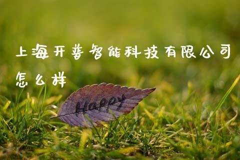 上海开普智能科技有限公司怎么样_https://wap.fcdydaikuan.com_国际投资_第1张
