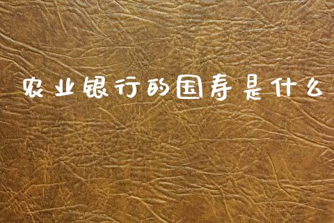 农业银行的国寿是什么_https://wap.fcdydaikuan.com_新股数据_第1张