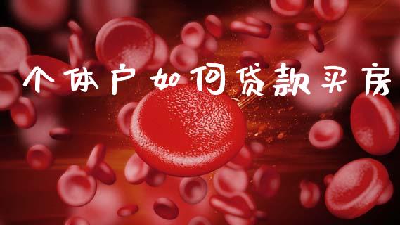 个体户如何贷款买房_https://wap.fcdydaikuan.com_金融机构_第1张