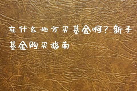 在什么地方买基金啊？新手基金购买指南_https://wap.fcdydaikuan.com_国际投资_第1张