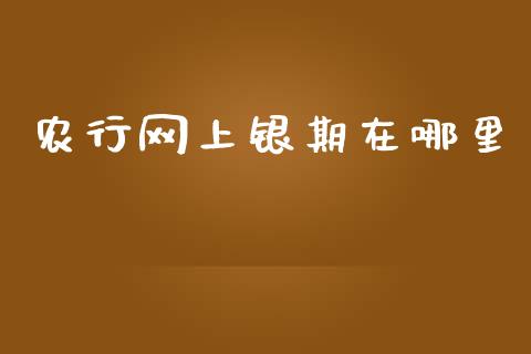 农行网上银期在哪里_https://wap.fcdydaikuan.com_新股数据_第1张