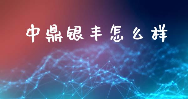 中鼎银丰怎么样_https://wap.fcdydaikuan.com_理财顾问_第1张