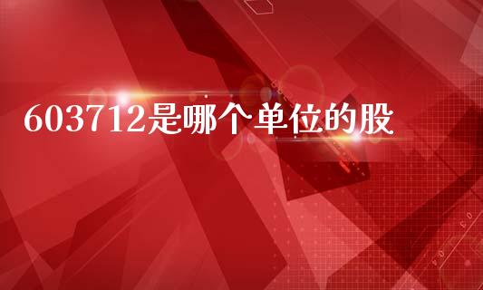 603712是哪个单位的股_https://wap.fcdydaikuan.com_投资策略_第1张