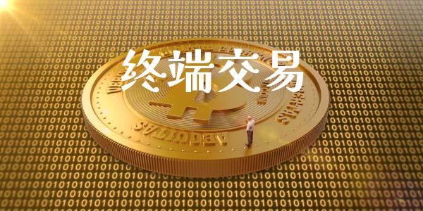 终端交易_https://wap.fcdydaikuan.com_国际投资_第1张