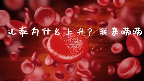 汇率为什么上升？我来唠唠_https://wap.fcdydaikuan.com_金融机构_第1张
