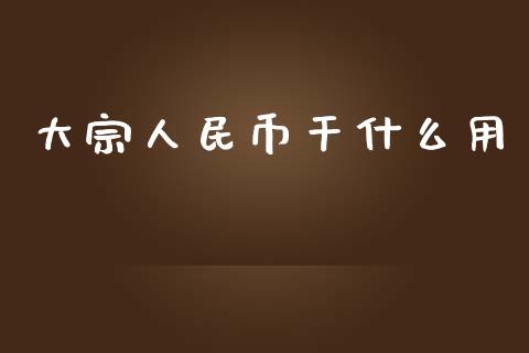 大宗人民币干什么用_https://wap.fcdydaikuan.com_金融机构_第1张