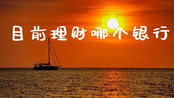 目前理财哪个银行_https://wap.fcdydaikuan.com_期货品种_第1张