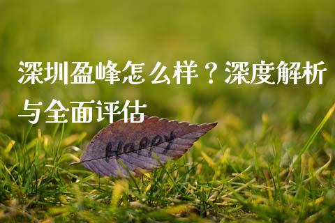 深圳盈峰怎么样？深度解析与全面评估_https://wap.fcdydaikuan.com_国际投资_第1张