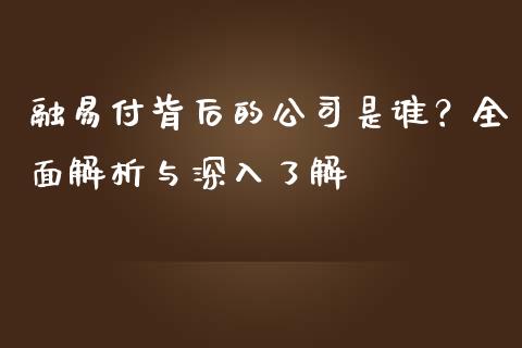 融易付背后的公司是谁？全面解析与深入了解_https://wap.fcdydaikuan.com_国际投资_第1张