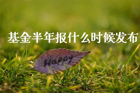 基金半年报什么时候发布_https://wap.fcdydaikuan.com_理财顾问_第1张