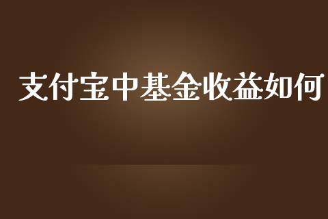 支付宝中基金收益如何_https://wap.fcdydaikuan.com_国际投资_第1张