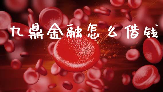 九鼎金融怎么借钱_https://wap.fcdydaikuan.com_投资策略_第1张