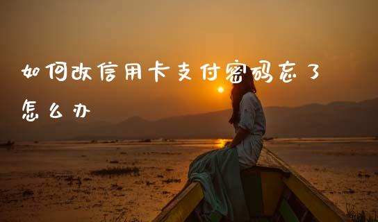 如何改信用卡支付密码忘了怎么办_https://wap.fcdydaikuan.com_金融机构_第1张