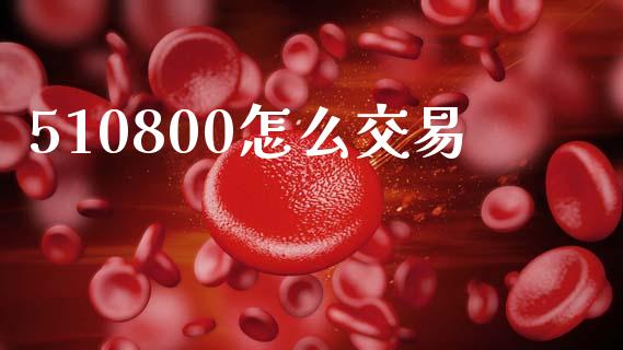 510800怎么交易_https://wap.fcdydaikuan.com_金融机构_第1张
