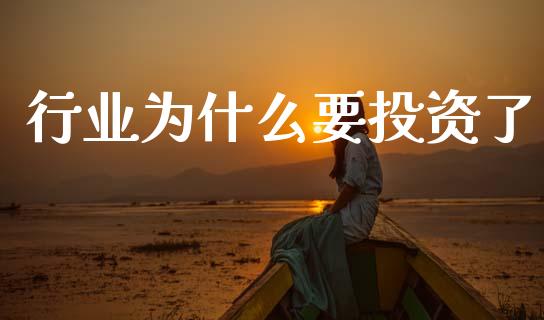 行业为什么要投资了_https://wap.fcdydaikuan.com_金融机构_第1张