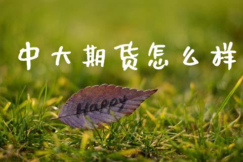 中大期货怎么样_https://wap.fcdydaikuan.com_理财顾问_第1张