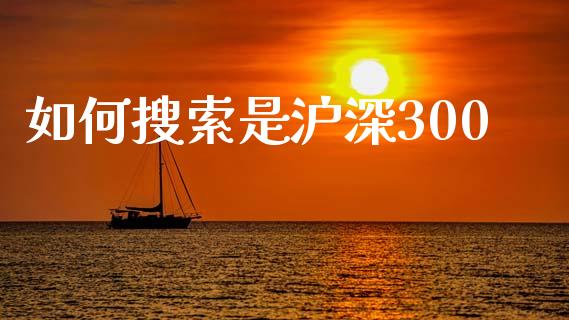 如何搜索是沪深300_https://wap.fcdydaikuan.com_期货品种_第1张