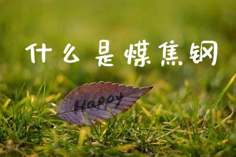 什么是煤焦钢_https://wap.fcdydaikuan.com_理财顾问_第1张