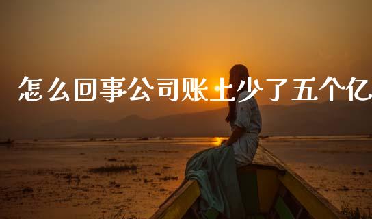 怎么回事公司账上少了五个亿_https://wap.fcdydaikuan.com_国际投资_第1张