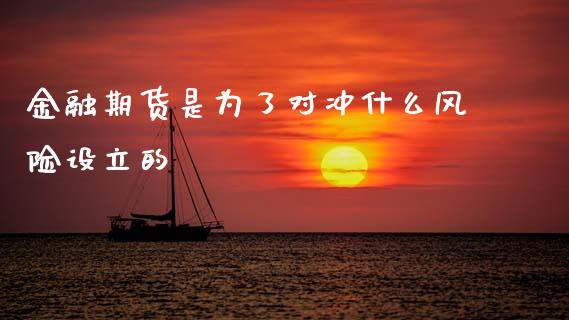 金融期货是为了对冲什么风险设立的_https://wap.fcdydaikuan.com_国际投资_第1张