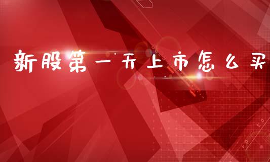 新股第一天上市怎么买_https://wap.fcdydaikuan.com_理财顾问_第1张