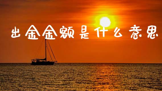 出金金额是什么意思_https://wap.fcdydaikuan.com_期货品种_第1张