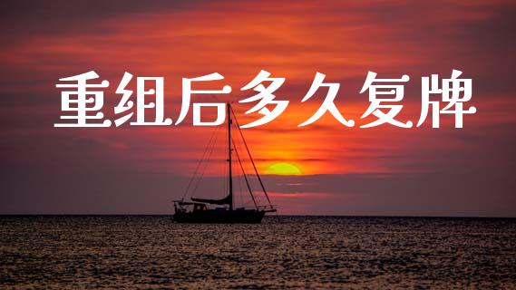 重组后多久复牌_https://wap.fcdydaikuan.com_理财顾问_第1张