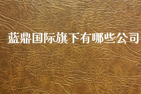 蓝鼎国际旗下有哪些公司_https://wap.fcdydaikuan.com_投资策略_第1张