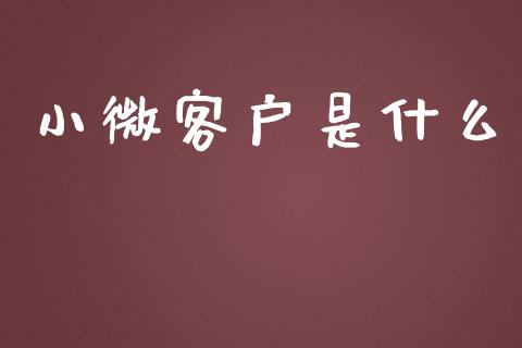 小微客户是什么_https://wap.fcdydaikuan.com_金融机构_第1张