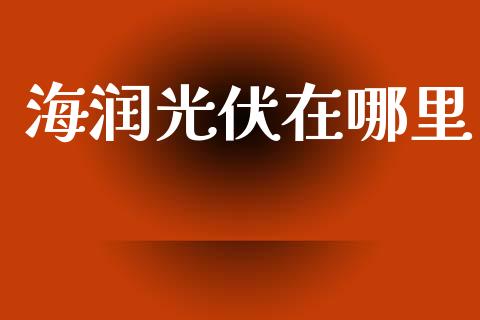 海润光伏在哪里_https://wap.fcdydaikuan.com_理财顾问_第1张