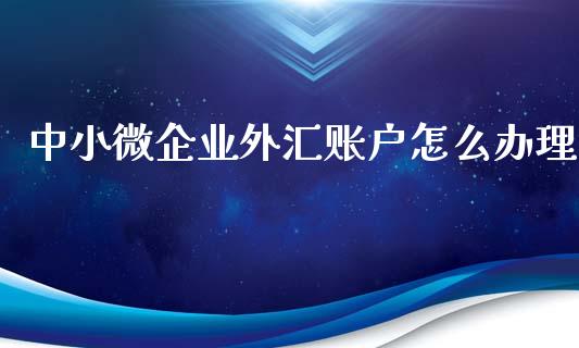 中小微企业外汇账户怎么办理_https://wap.fcdydaikuan.com_投资策略_第1张