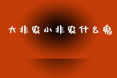 大非农小非农什么鬼_https://wap.fcdydaikuan.com_新股数据_第1张