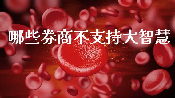 哪些券商不支持大智慧_https://wap.fcdydaikuan.com_金融机构_第1张
