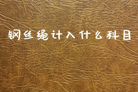 钢丝绳计入什么科目_https://wap.fcdydaikuan.com_期货品种_第1张