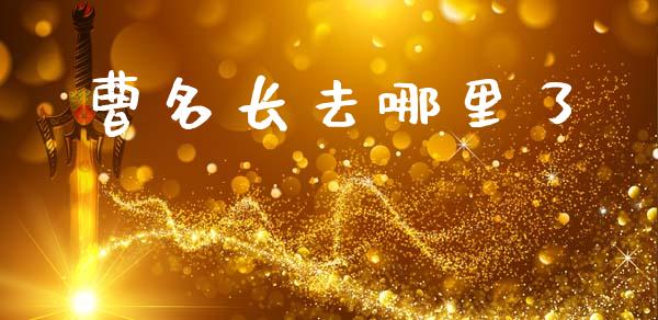 曹名长去哪里了_https://wap.fcdydaikuan.com_投资策略_第1张