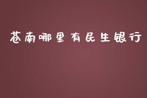苍南哪里有民生银行_https://wap.fcdydaikuan.com_金融机构_第1张