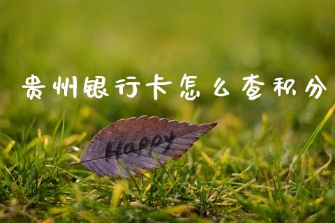 贵州银行卡怎么查积分_https://wap.fcdydaikuan.com_理财顾问_第1张