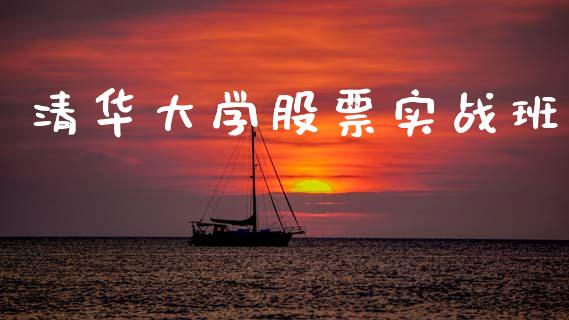 清华大学股票实战班_https://wap.fcdydaikuan.com_国际投资_第1张