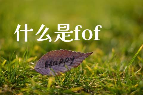 什么是fof_https://wap.fcdydaikuan.com_新股数据_第1张