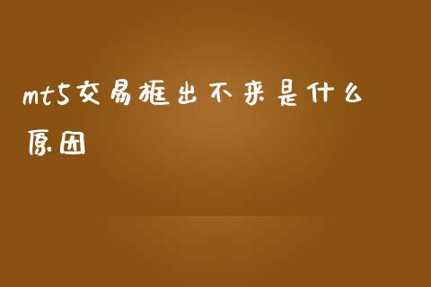 mt5交易框出不来是什么原因_https://wap.fcdydaikuan.com_新股数据_第1张