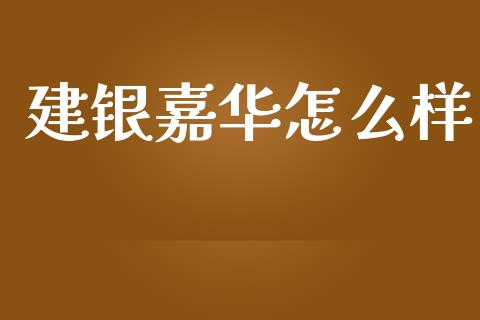 建银嘉华怎么样_https://wap.fcdydaikuan.com_投资策略_第1张