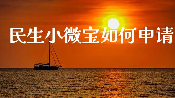 民生小微宝如何申请_https://wap.fcdydaikuan.com_新股数据_第1张