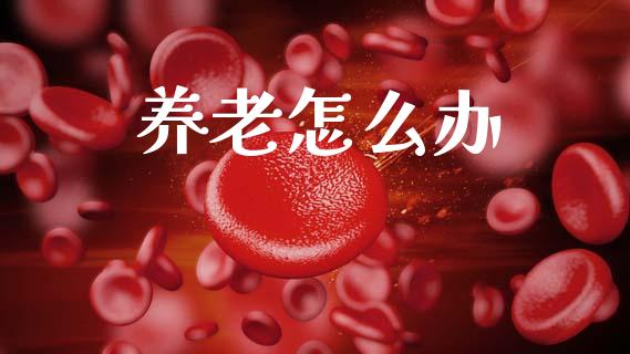 养老怎么办_https://wap.fcdydaikuan.com_期货品种_第1张