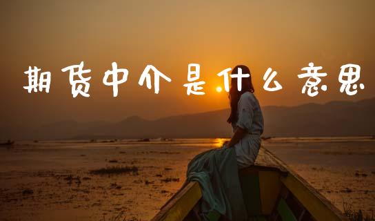 期货中介是什么意思_https://wap.fcdydaikuan.com_期货品种_第1张