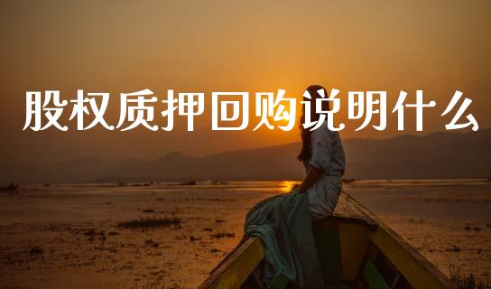 股权质押回购说明什么_https://wap.fcdydaikuan.com_金融机构_第1张