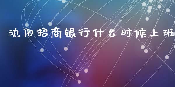 沈阳招商银行什么时候上班_https://wap.fcdydaikuan.com_金融机构_第1张