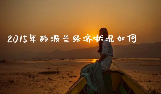2015年的波兰经济状况如何_https://wap.fcdydaikuan.com_新股数据_第1张