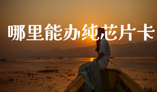 哪里能办纯芯片卡_https://wap.fcdydaikuan.com_新股数据_第1张