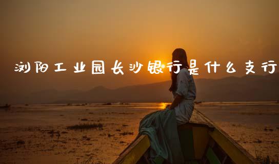浏阳工业园长沙银行是什么支行_https://wap.fcdydaikuan.com_新股数据_第1张