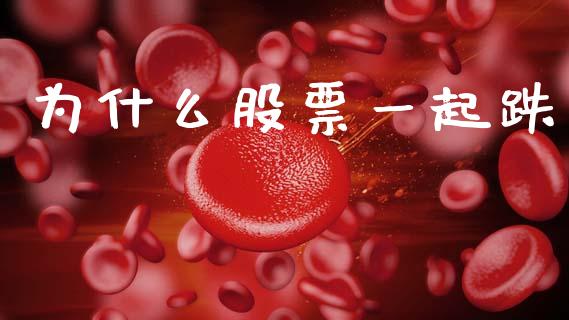 为什么股票一起跌_https://wap.fcdydaikuan.com_理财顾问_第1张